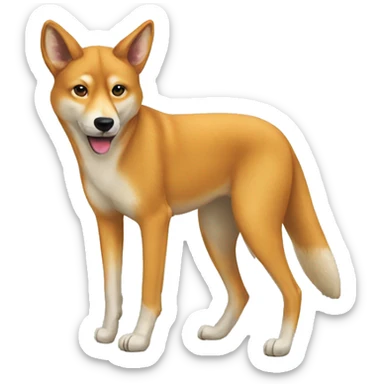 dingo sticker