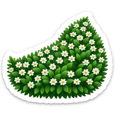 A dense bush with dark leaves and a curved organic shape with small white flower sticker