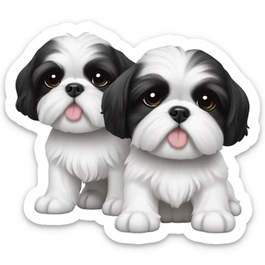 Two black and white shitz tzu puppies  sticker