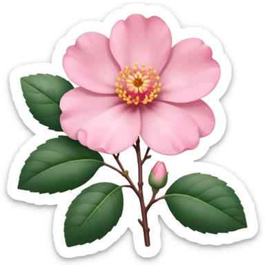 camélia pink with branch  sticker