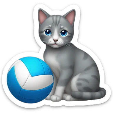 a gray cat with blue eyes and a volleyball sticker