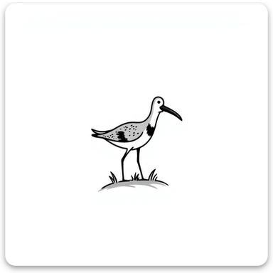 Curlew sticker