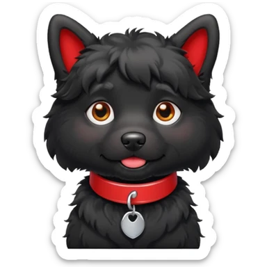 Black fluffy dog, white patch on chest, red collar sticker