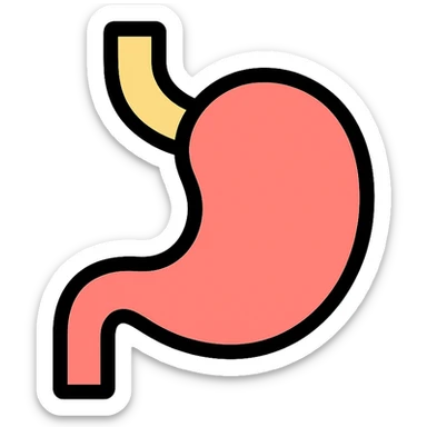 stomach color outline icon style sticker