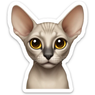 Sphinx cat with grey ears and a skin around eyes, black nose but the skin around the nose and skin at nose is white, eyes are yellow-brown sticker
