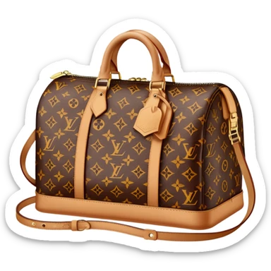 Luis Vuitton bag sticker