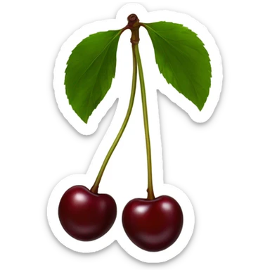 two burgundy cherries on dark green single stem sticker