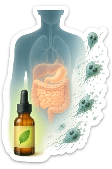 A realistic, high-quality medical illustration showing microscopic parasites leaving the human intestines, symbolically dissolving and breaking apart, after the intake of natural kinesiological drops. The drops are shown in a small amber glass dropper bottle in the foreground with a green leaf on the label, emitting a subtle glow symbolizing detox and cleansing. The background depicts a semi-transparent human silhouette with a highlighted digestive tract, showing clean, healthy intestines, while parasites in translucent fading colors are moving out, symbolizing elimination. The atmosphere is clean, fresh, and conveys a sense of natural healing, detoxification, and hope. sticker