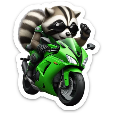 Zx10r with raccoon driving it sticker
