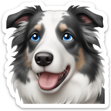Blue eyes Seal merle Border collie sticker