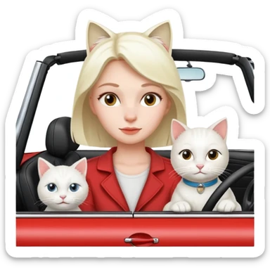 woman driving in convertible with white cat sticker