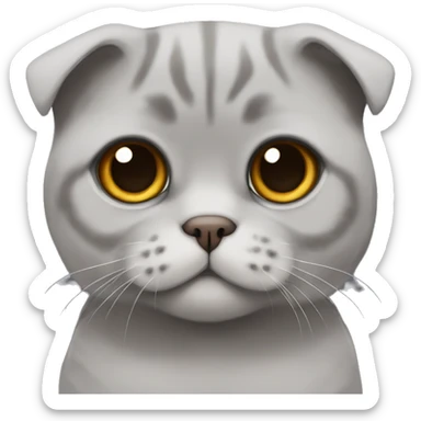 All grey Scottish fold with brown eyes  sticker