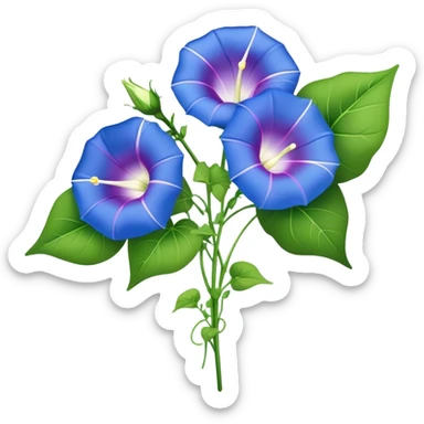 big bouquet Morning Glory stem, leaf sticker