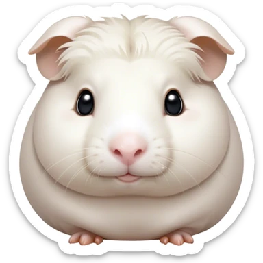 Cinematic Noble White Guinea Pig Portrait Emoji, Poised and regal, with a compact, chubby build and a pristine, well-groomed pure white coat, deep-set soulful dark eyes, Simplified yet sharp and sophisticated features, highly detailed, glowing with a soft, dignified glow, high shine, intelligent and sweet, stylized with an air of gentle purity, focused and attentive, soft glowing outline, capturing the essence of a watchful and confident little companion, so majestic it feels as though it could scurry out of the screen with effortless authority! sticker