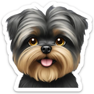 Affenpinscher
 sticker
