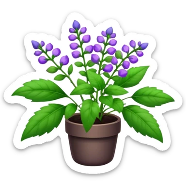 Skullcap plant  sticker