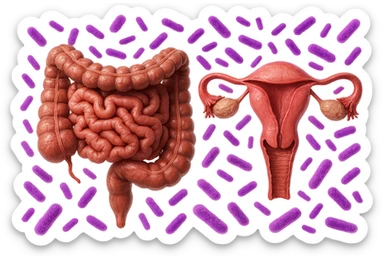 intestino umano anatomico realistico accanto ad un utero umano anatomico realistico, dietro i due organi fluttuano batteri intestinali con questo colore: #971ef1, iperrealistico 4k
isolata su sfondo bianco sticker