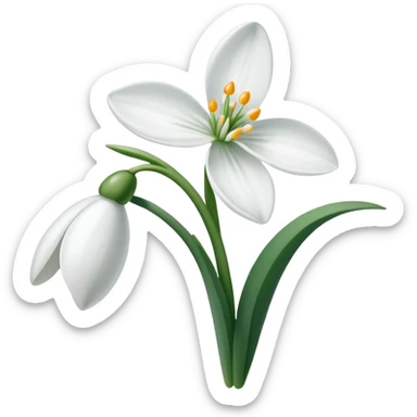 snowdrop flower sticker