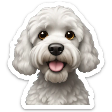 Black cockapoo with tiny white goatee and white crested chest  sticker