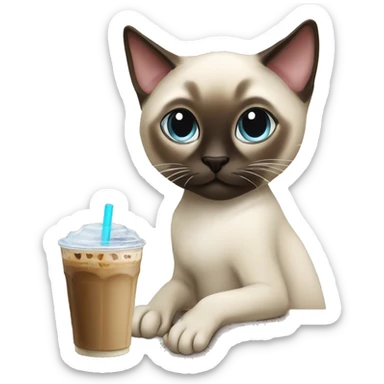 ￼ Siamese cat drinking, iced coffee sticker