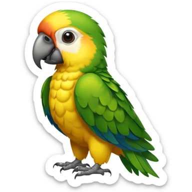 Perroquet qui est de face  sticker