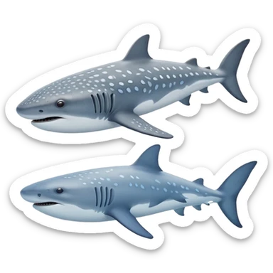 Whale Shark And Beluga Whale sticker
