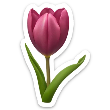 tulipan africano  sticker