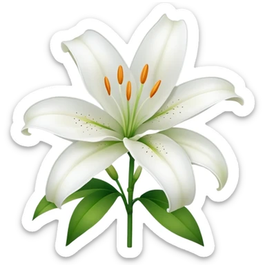 Lily flower with a face sticker