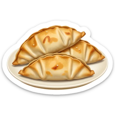Dumplings gyoza  sticker