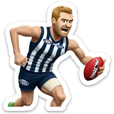 AFL footballer Geelong beating hawthorn sticker