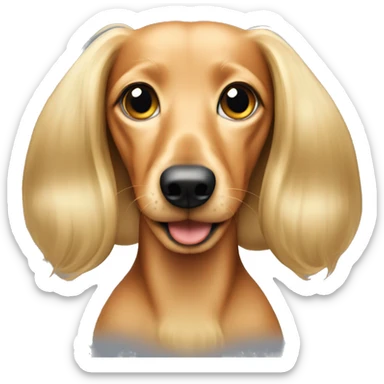 long hair doxie blonde sticker