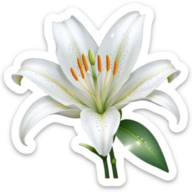 A cute gorgeous beautiful shiny glittery shimmering soft smooth hyperrealistic white Lily flower sticker