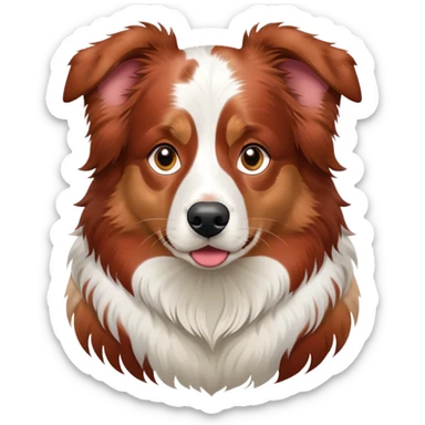Red Merle Australian shepherd  sticker