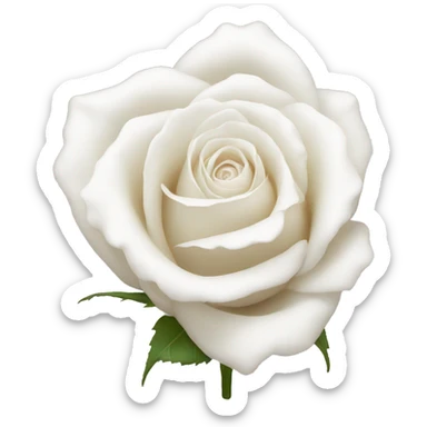 White Rose sticker