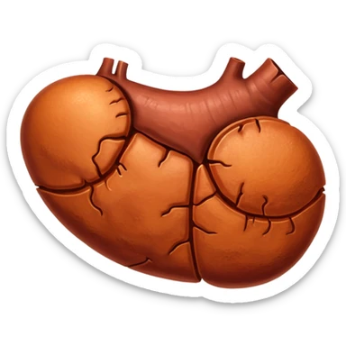 Liver sticker
