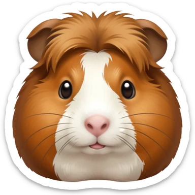 guinea pig sticker