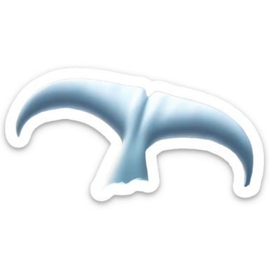White whale tail sticker