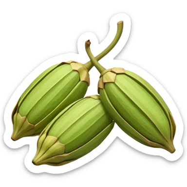 Cardamom sticker