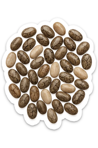 semi di chia visti dall'alto sticker