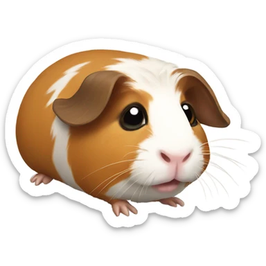 Guinea pig sticker