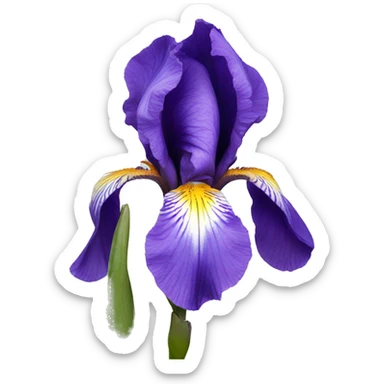 iris flower sticker