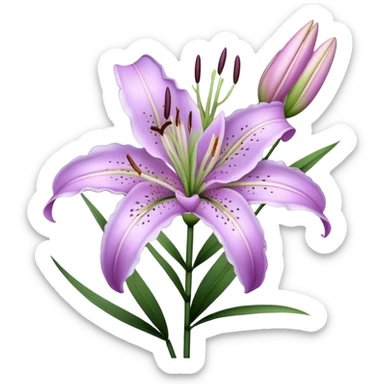 single Lavender Oriental Lily, straight stem sticker