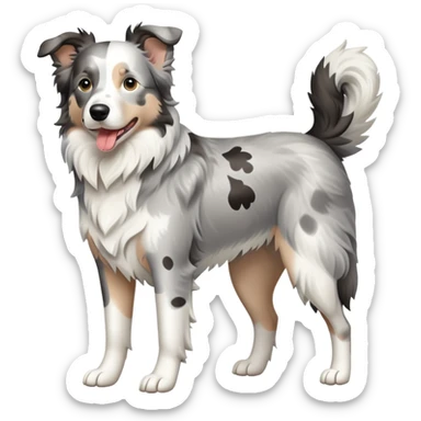 Grey spotted Merle Border Collie dog full body sticker