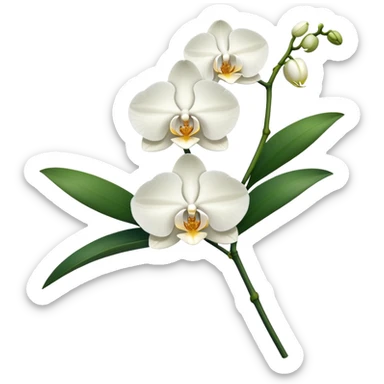 Single elegant orchid stem with several blooms on one stalk and a few green leaves at the base sticker