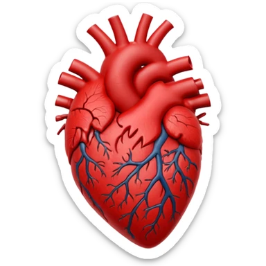 coracao anatomico inchado sticker