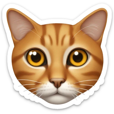 Gato naranja sin un ojo sticker