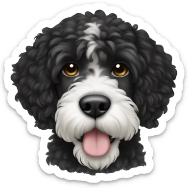 black with white tiny spot on head portuguese water dog sticker