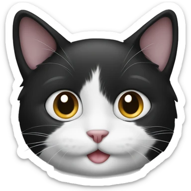 Black and white cat with only white mouth sticker
