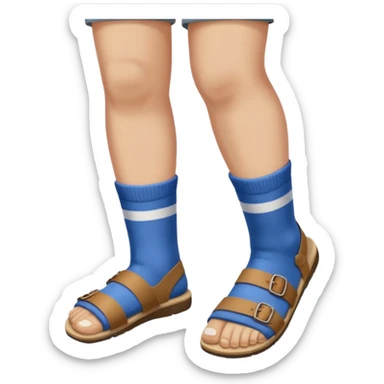 socks in sandals sticker