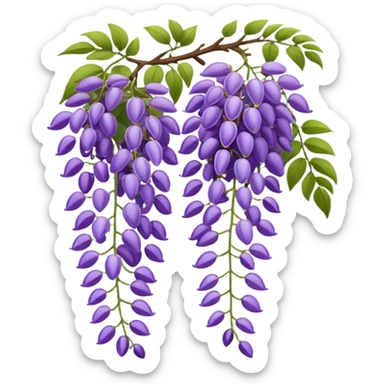 Wisteria sticker